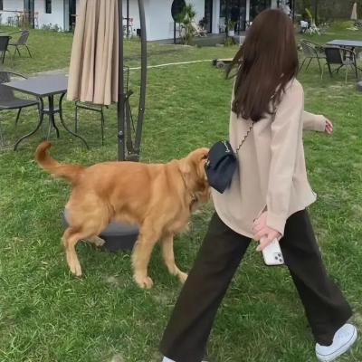 彩绘门